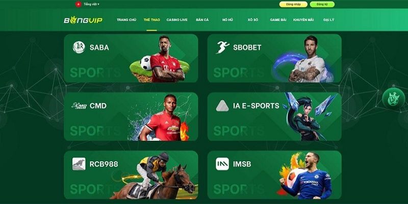 Thể Thao Bongvip – Trải Nghiệm Cá Cược Trực Tuyến Đỉnh Cao