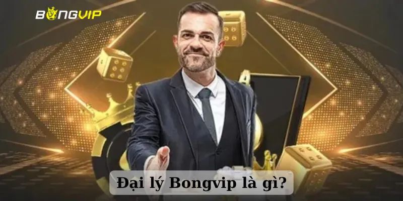 Bongvip Đại Lý – Cơ Hội Kinh Doanh Hấp Dẫn 2025 Đừng Bỏ Lỡ
